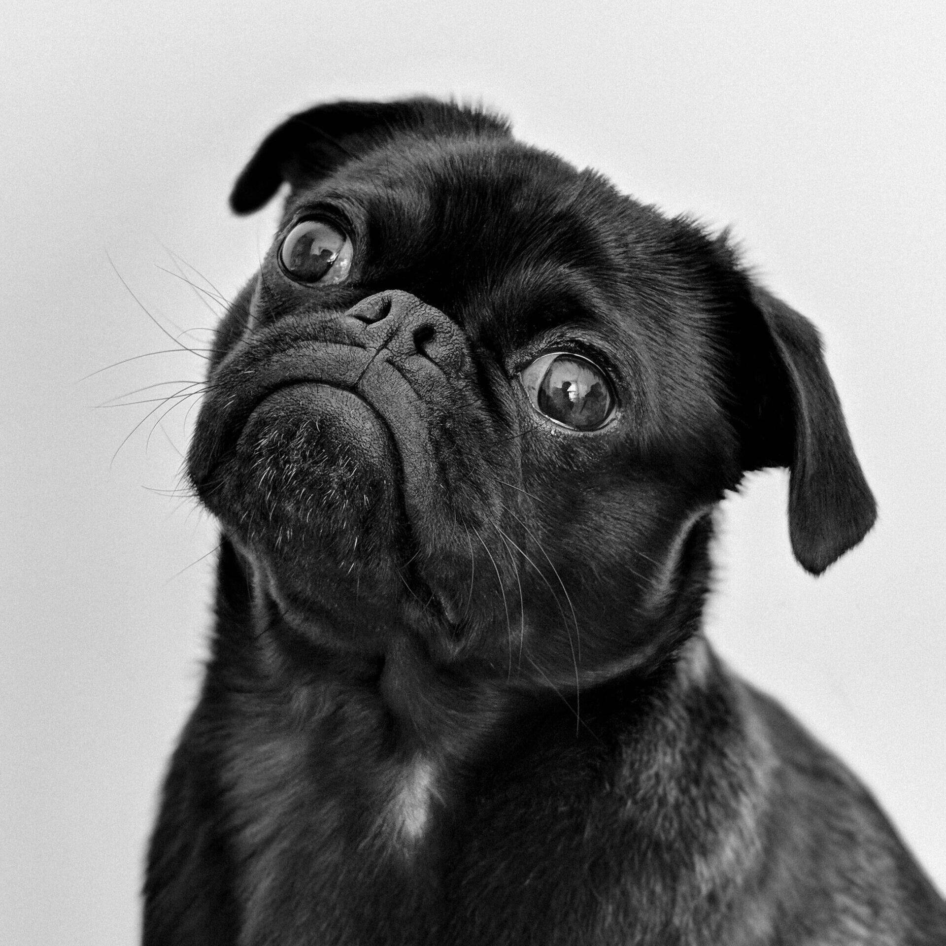 website and seo service