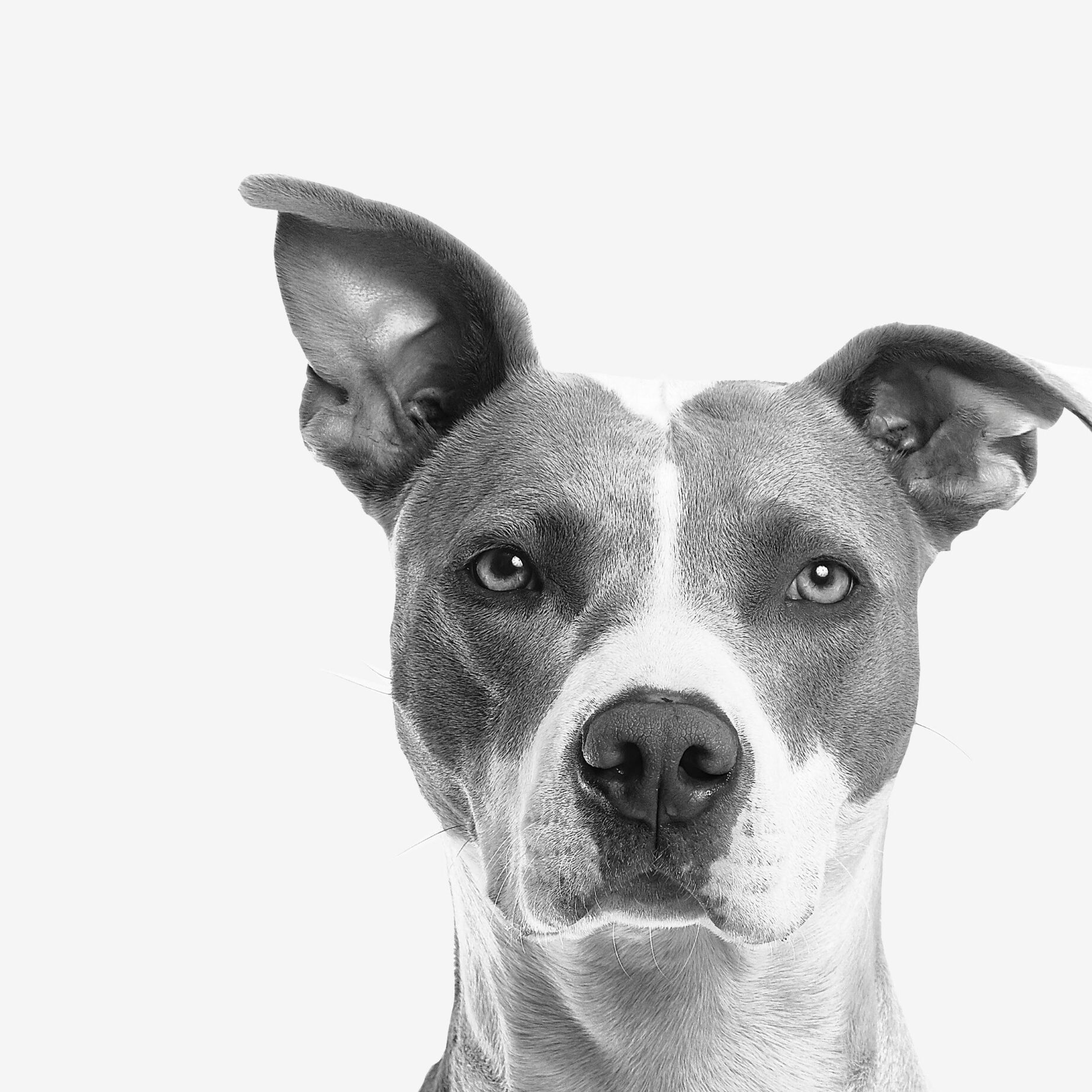 marketing and service